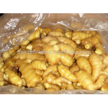 Chinese Fresh Yellow Ginger 2014